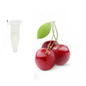 Ароматизатор Capella Flavors USA Вишня дика 1 мл ― Eco-Life