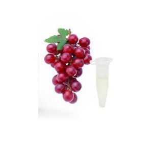 Ароматизатор Capella Flavors USA Виноград 1 мл ― Eco-Life