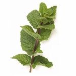 Картриджі Smoore Ментол (Menthol)